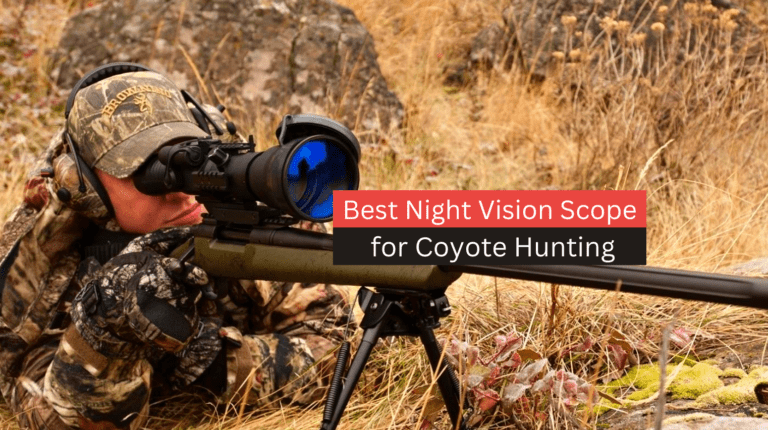 5 Best night vision scopes for coyote hunting (Thermal scope)