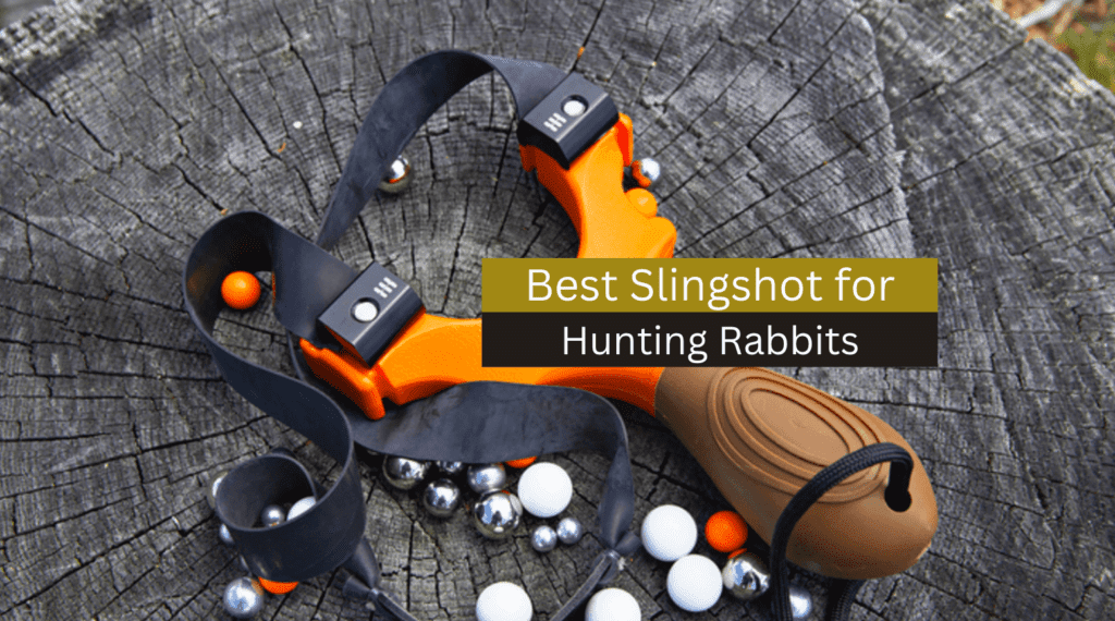 Top 5 Best Slingshot for Hunting Rabbits in 2023 - Buyer's Guide
