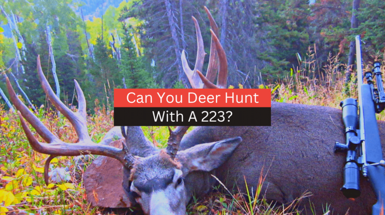 Can You Hunt Deer With A 223?