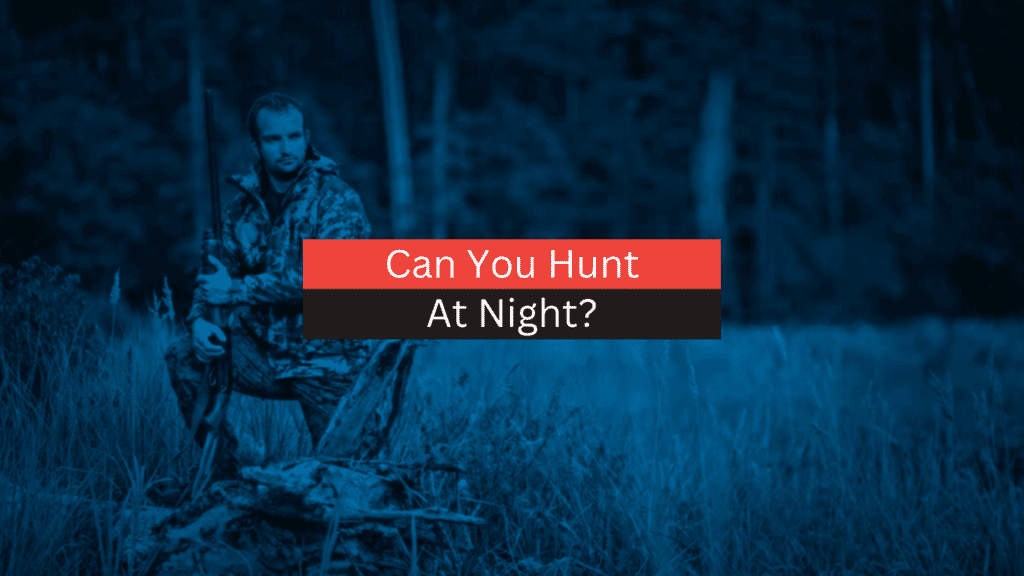 Can You Hunt At Night? Everything You Need to Know (2023)