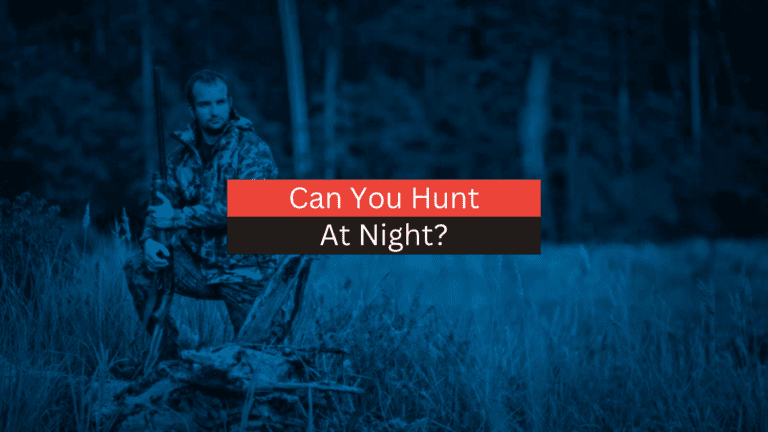 Can You Hunt At Night?