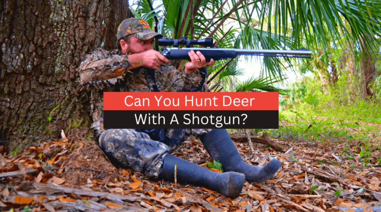 Can You Hunt Deer With A Shotgun?