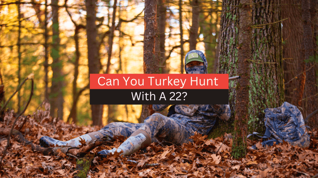 Can You Turkey Hunt With A 22? (2023 Full Guide)