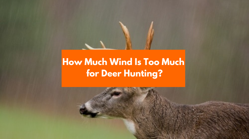 WIND Too Much for Deer Hunting