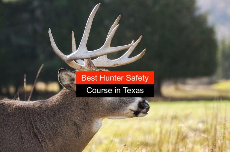 The Best Online Texas Hunter Safety Courses